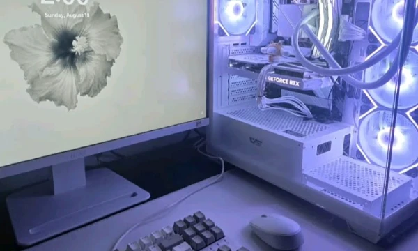 У вас очень не обычная работа охранником... В очень не обычном месте... И вы должны соблюдать правила о которых будет узнавать по мере работы. И это промежутный тест между главами "Лиминального мира".