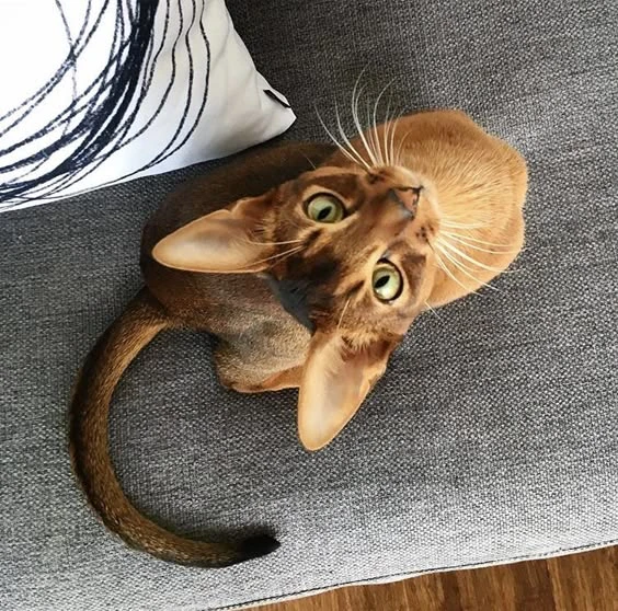Скоро уйду с Pikuco Скоро уйду с Pikuco