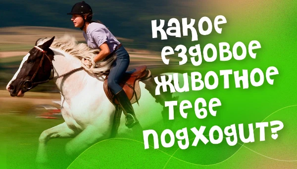 Оседлать можно кого-угодно, но на свой страх и риск. Другое дело, когда животное и само не против, принимая тебя за своего, ну или хотя бы того, кого не нужно съесть. Давай определим твоего скакуна.