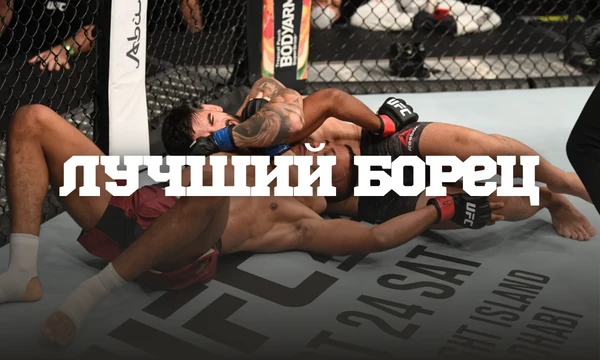 В этом турнире нужно выбрать самого лучшего борца или джитера в UFC вне зависимости от весовой категории