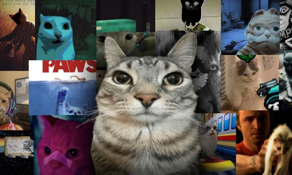 Добро пожаловать на Catflix! Вы попали в мир, где всё пошло не по плану.. Сможете ли вы узнать любимые истории, если вместо привычных персонажей — пушистые версии?