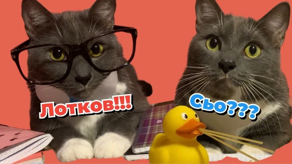 Узнайте, кто же вы из Kotiynet - Геннадий Петрович или Лотков