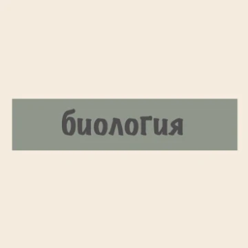 Выбираем лучший школьный предмет