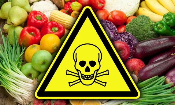 Смысл турнира заключается в определении наиболее омерзительного продукта питания, будь то с точки зрения вкуса или общего восприятия.