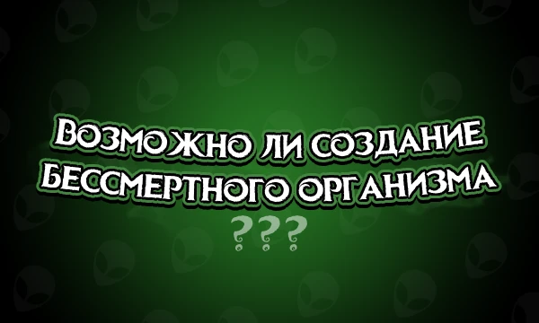 Пользователи Пикуко отвечают на вопросы, на которых нет ответа Пользователи Пикуко отвечают на вопросы, на которых нет ответа