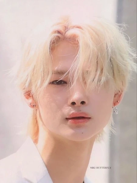 BTS, Blackpink, Stray Kids, (G)I-DLE, Enhypen, TXT, Ive, Seventeen, New Jeans, Le Sserafim, Itzy, Ateez, aespa, Twice, Red Velvet, Stayc, Astro, nmixx, Kep1er, NCT, X:in, iKON, EXO, SHINee и т.д.