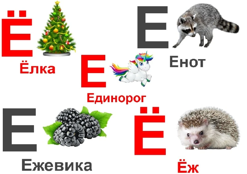 Буква Е и буква Ё Буква Е и буква Ё