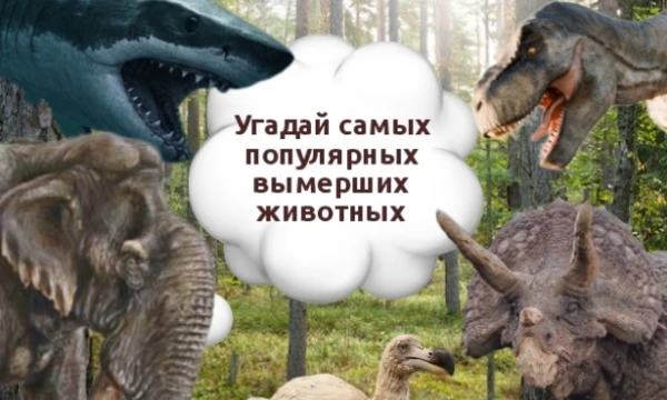 Всем привет! Я начинающий пользователь данной платформы (надеюсь, правильно сформулировал).
В данном челендже будет 4 группы: динозавры, млеки, птицы и водные.
Сложности будут, но небольшие)