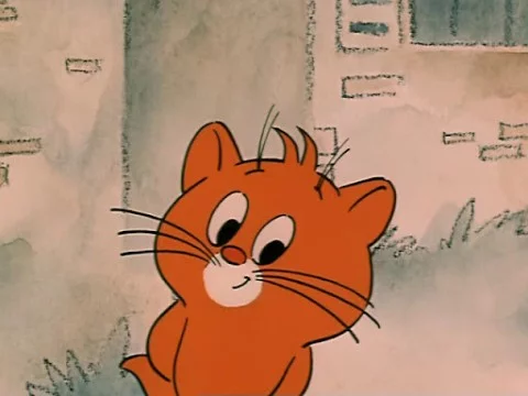 Турнир для пажилых кошатников))