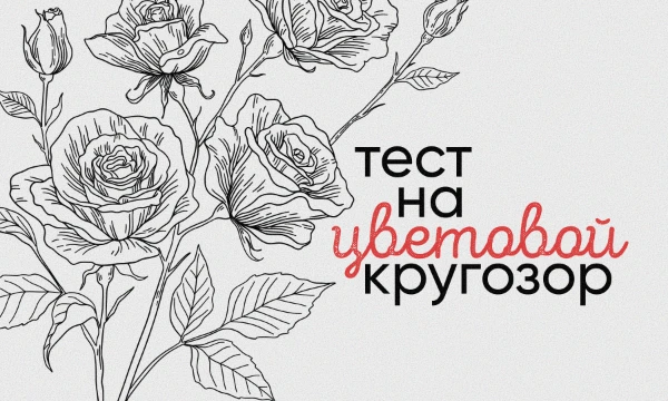  Одни считают, что человеческий глаз способен различить около 150 основных цветов, другие же утверждают, будто тысячи. Но сможешь ли ты их назвать? Проверь свой цветовой кругозор и раскрась картинку!