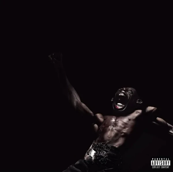 Альбомы Travis Scott, Ken Carson, Rich Amiri, Don Toliver и тд.