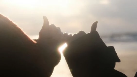 я тоже решила сделать такой тестик ˶ᵔ ᵕ ᵔ˶  приятного прохождения ❤ 