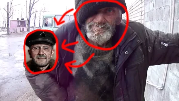 Пиу пиу пау пау 
