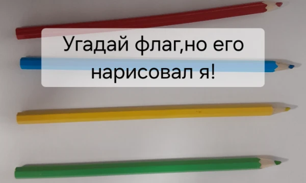 У меня большие проблемы с рисованием,но вам придется угадывать флаги которые я нарисовал,удачи!
