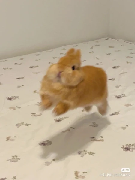 Самый сложный тест из всех существующих