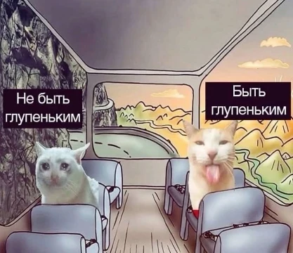 Предлагаю выбрать вариацию одного мема