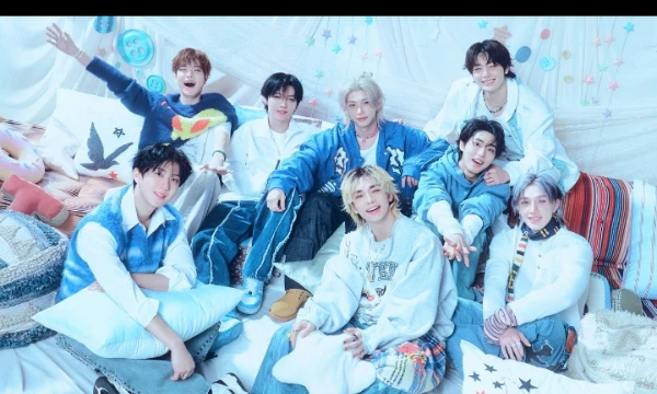 Тест для тех кто только начинает идти вместе со stray kids 💗💗💗💗💗💗💗💗