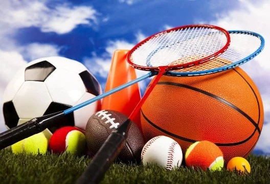 Спорт (desport — «игра», «развлечение») — организованная по определённым правилам деятельность людей (спортсменов), состоящая в сопоставлении их физических и/или интеллектуальных способностей.