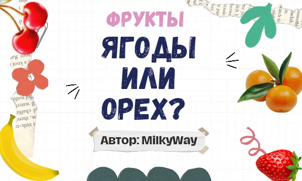 Тест "Фрукты, ягоды или орехи?" познакомит вас с удивительным миром ботаники и поможет разобраться в различиях между этими тремя категориями растений. Предупреждаю мозг может сломаться🤯