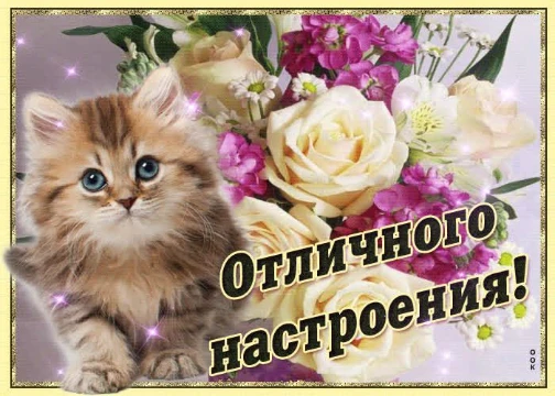 Я тут собрала почти всех своих любимых персонажей из разный вселенных, так что попробуй найти здесь своего любимчика ;)