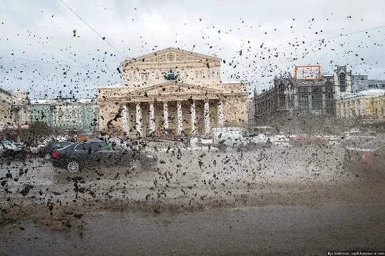 Зима - это лучшая пора года, но и как все сезоны зима имеет свои минусы, за которые мы её ненавидим. Какие чаще всего встречаются у вас?