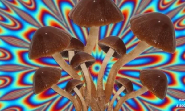 Описания нет, новы держитесь! Описания нет, но вы держитесь! Описания нет но вы держитесь! Описания нет но вы держитесь!