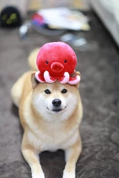 По просьбе пользователя Alter Ego.... опять...