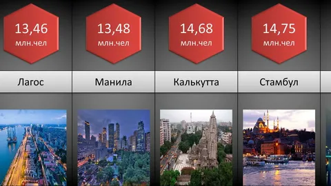 вам нужно назвать все города мира в которых проживает 10 миллионов и более человек