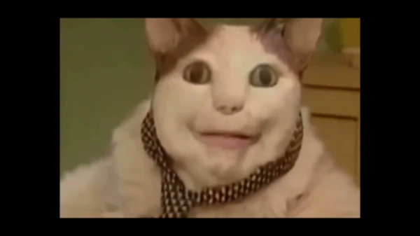 Сбеги от этого кота
