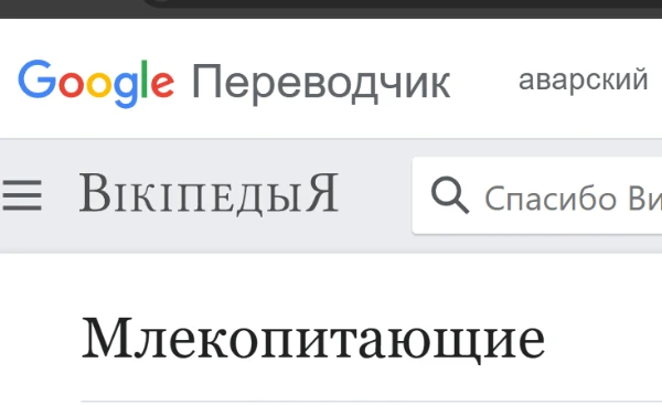 Гугл-перевод страниц Википедии открывает чудесный мир, населённый замечательными животными. Кем вы ощущаете себя сегодня?