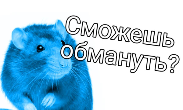 Не важно, насколько добрыми вы были в жизни. В этом квесте вы будете очень плохим человеком, который украл запасы вишнёвых бомб у синих крыс. Теперь вы на допросе. Обманите крысу, или вы умрёте! 