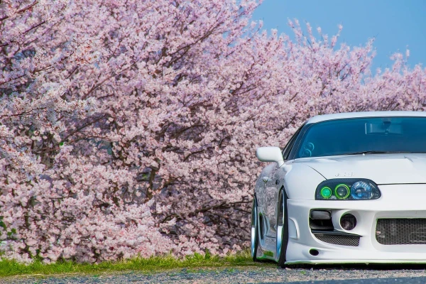 выбери лучшую JDM бричку