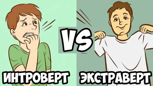 Экстраверт предпочитает социальные и практические аспекты жизни, операции с реальными внешними объектами, а интроверт предпочитает погружения в мир воображения и размышлений.