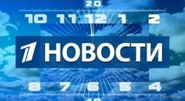 Предлагаю вспомнить то, что показывали на Первом канале в 2010 году и выбрать лучшую передачу