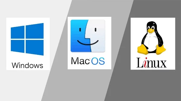 Турнир состоит из различных версий Microsoft Windows, дистрибутивов Linux и других операционных систем.