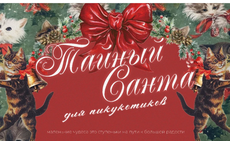 Тайный Санта для пикукотиков Тайный Санта для пикукотиков