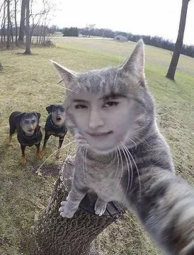 узнаешь любимых скизов??