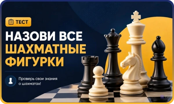 Любишь играть в шахматы? А сможешь ли назвать всех воинов шахматного поля за 30 секунд? Проверь свои знания!