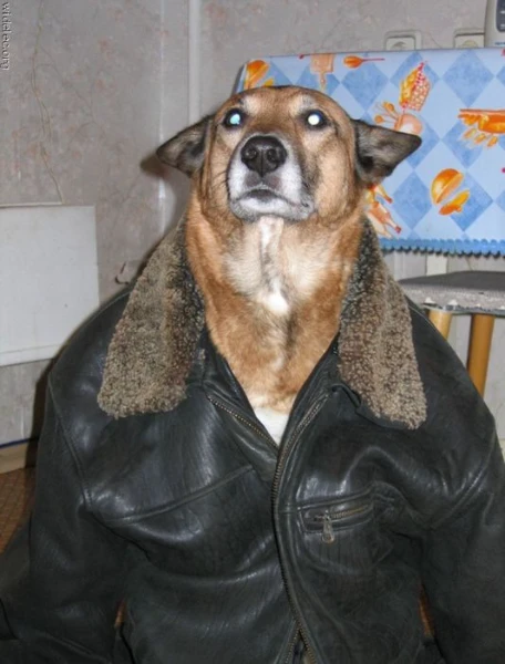 лучший мувик
