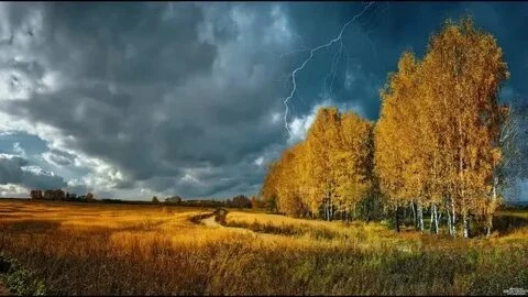 Источник: gamerwall.pro Источник: gamerwall.pro