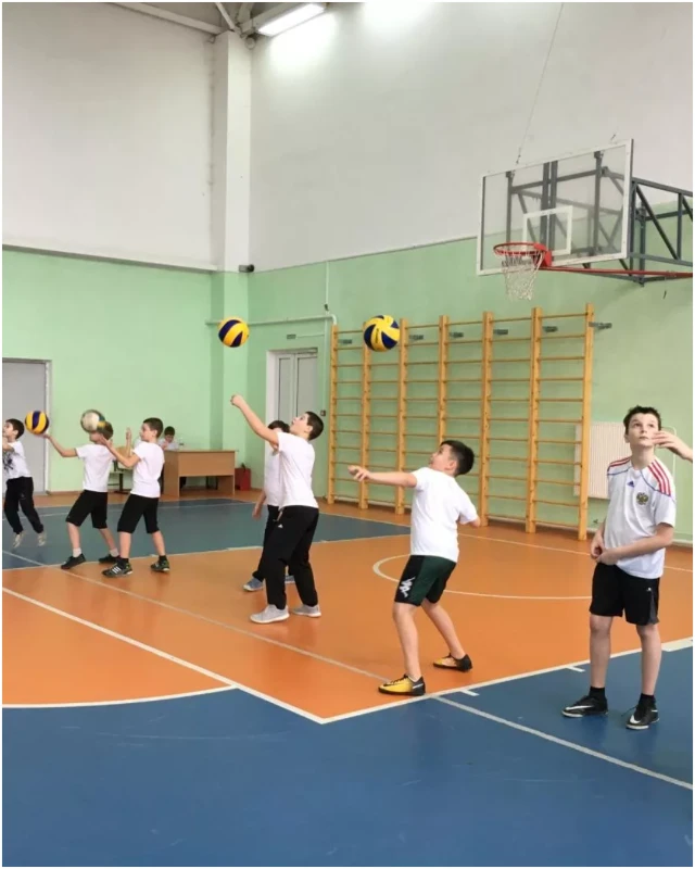 Любимые школьные предметы Пикукеров Любимые школьные предметы Пикукеров