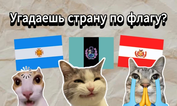Вам предстоит угадать десять стран Латинской Америки по изображениям. Но есть одно условие — вам будут всячески мешать котики!