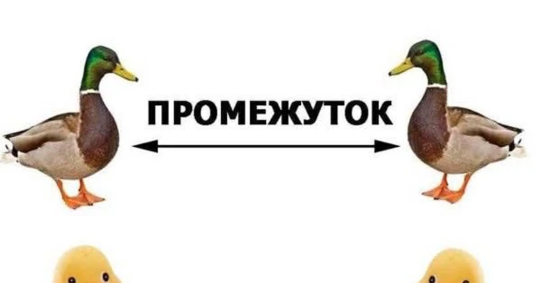 Вдохновляешься, как Утиничка, создаёшь контент? Или у тебя свой путь? Тест из 10 вопросов покажет, насколько мы похожи!