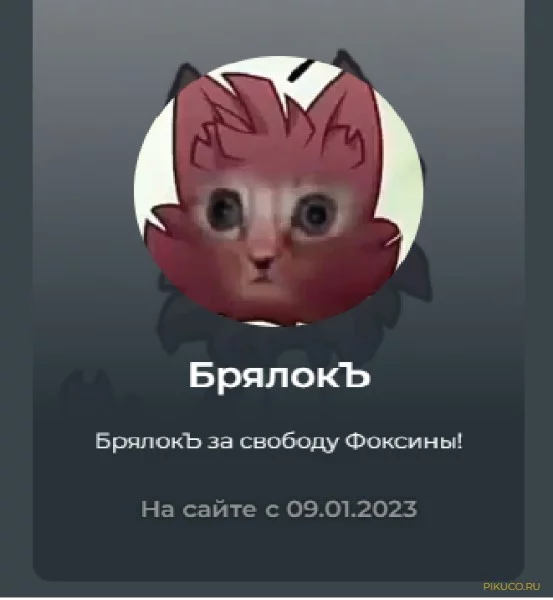 Интересно, а вы являетесь мною? Хорошего прохождения моего теста!