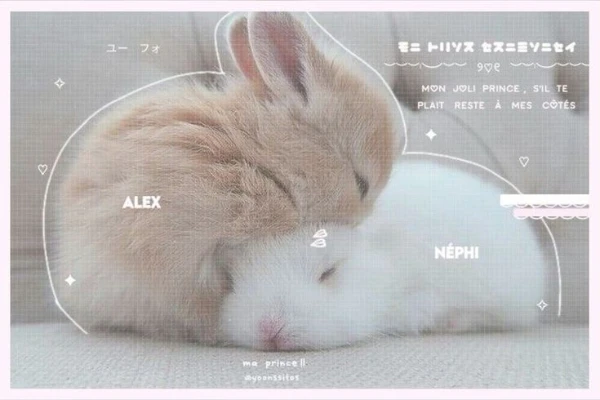 мяу, я вернулась!! надеюсь меня не забыли ^^. в этом тесте вы узнаете с кем из айдолов кпоп индустрии вы у меня ассоциируетесь. приятного прохождения!! 🙇🏻♀💟 ||だって好きなんだもの。