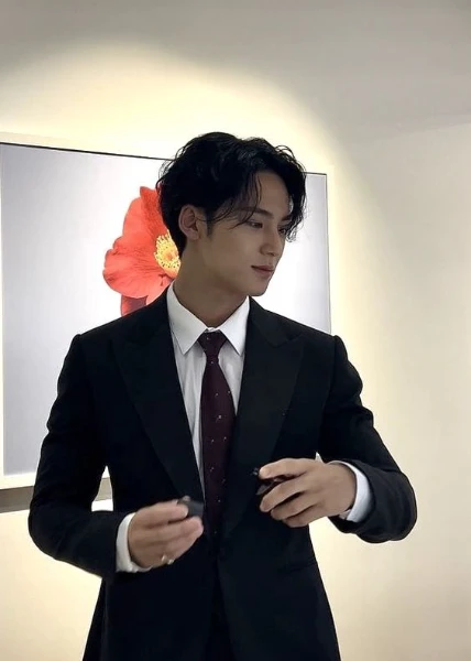 mingyu - seventeen