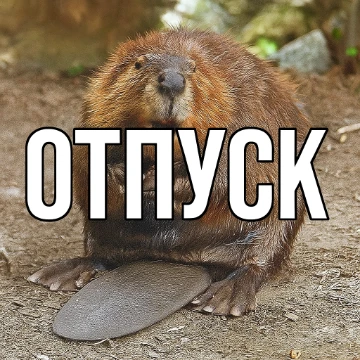 Вспомнили любимые клипы