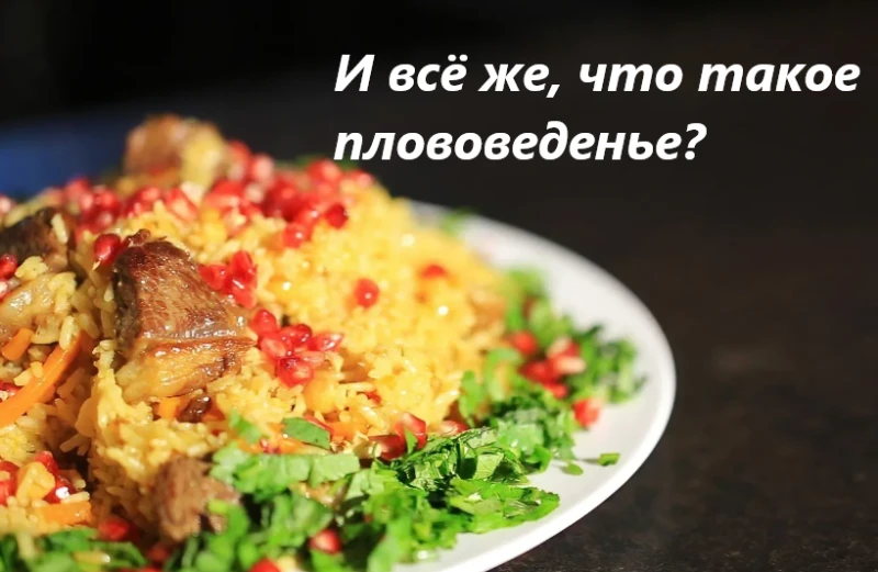 Параграф 2 - Что это блин такое? Параграф 2 - Что это блин такое?