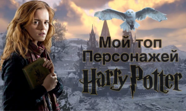 Не так давно у меня появилось желание от начала и до конца посмотреть "Гарри Поттера". В данном турнире я даю вам возможность посмотреть какое место в моём топе занимает именно ваш любимчик. 