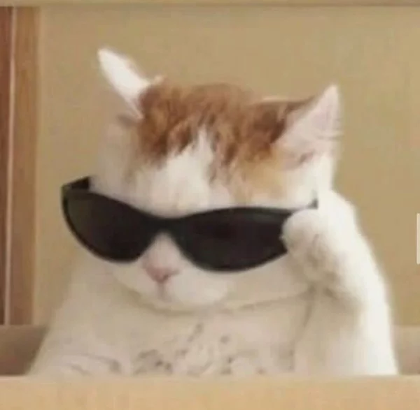 meow meow meow